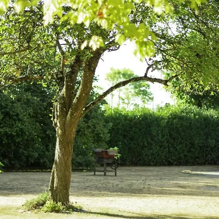 L'auglanas 招待所 Tauriac-de-Naucelle